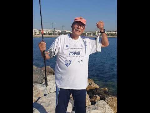 PPLUIS7-SIN CAPTURAS