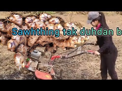 Sawhthing Tak duh dan ber .