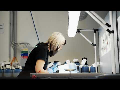 PFISTERER Plant in Kadaň, Czech Republic