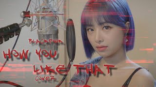 [影音] 采媛(APRIL) - 'How You Like That' cover