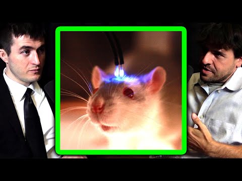 How to control the brain with light | Karl Deisseroth and Lex Fridman