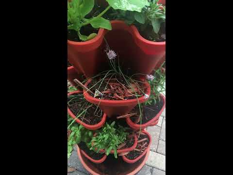 Stackable Garden Container