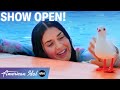 Katy Perry Is Stranded At Sea American Idol 2022