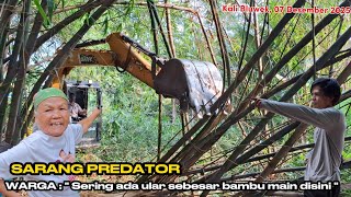 Download lagu BABAT SARANG PREDATOR ‼️ WARGA BILANG SERING MENEMUKAN ULAR SEBESAR BAMBU DISINI ‼️ mp3
