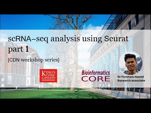scRNA-seq analysis using Seurat, part 1 [CDN workshop]