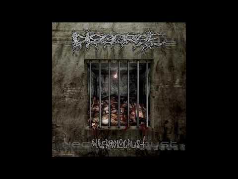 Disgorge (Mex) - Necrholocaust (Full Album)