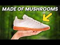 Your next shoes might be made of FUNGI, here's why