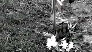 The Real Me by Natalie Grant