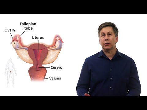 An Approach to Female Infertility