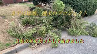 米国生活　家の前を綺麗に！、中高年はお腹周りの脂肪を取ろう、戦争について思う。