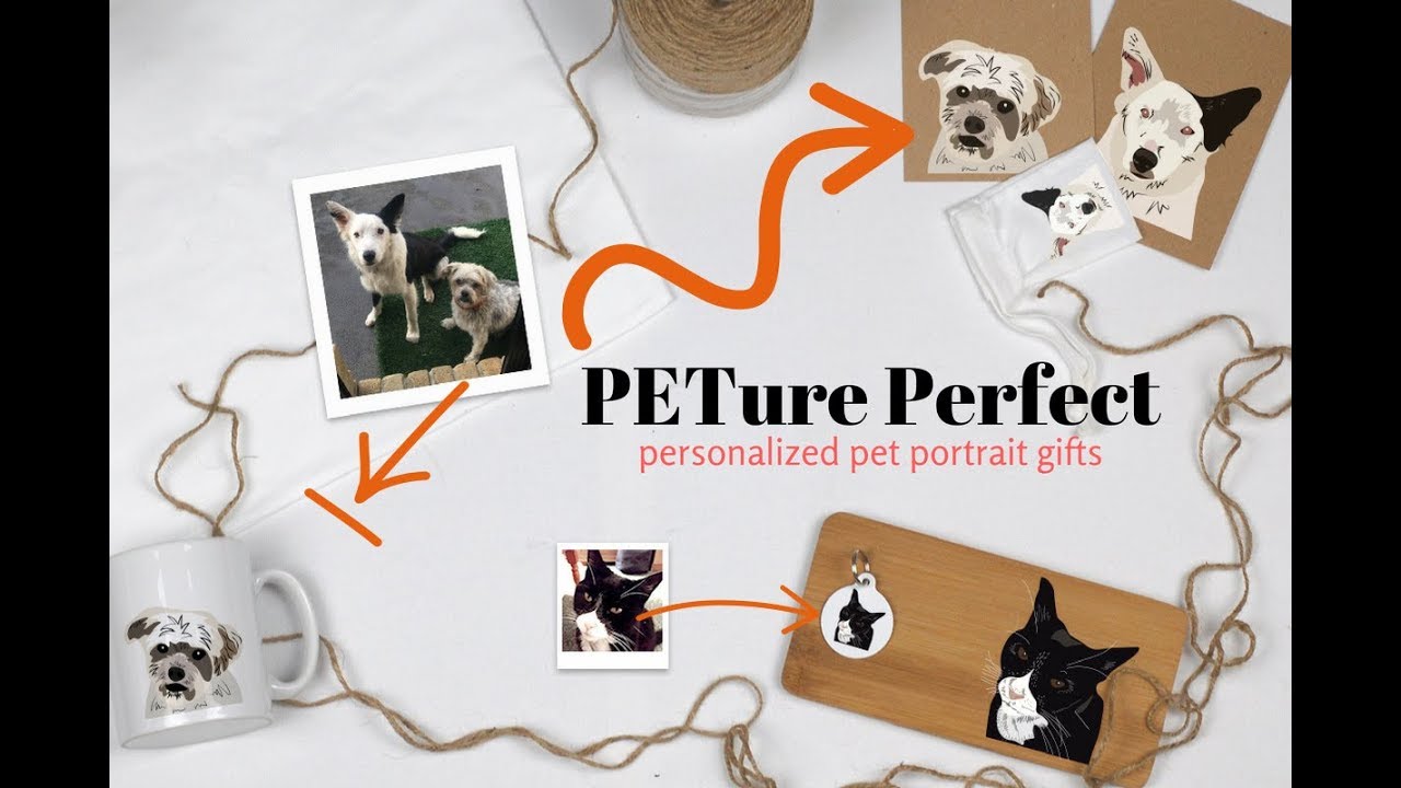 perfect-pawtrait-club video