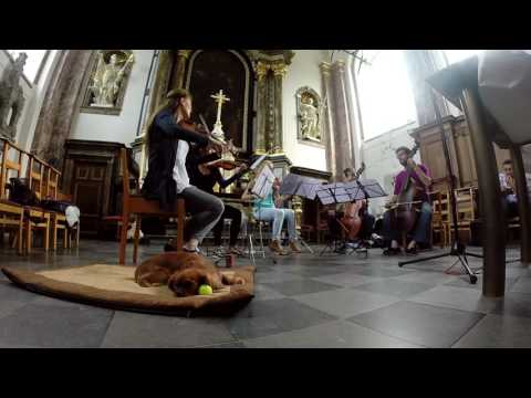 Cipriano DE RORE: Sine nomine (ENSEMBLE CLEMATIS - Stéphanie de Failly)