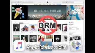 Apple Music and DRM: How to Remove Apple Music DRM?