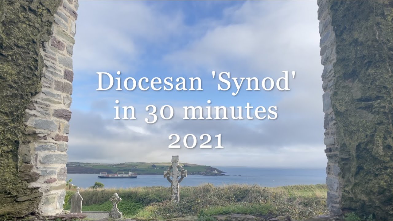 Diocesan 'Synod' in 30 minutes 2021