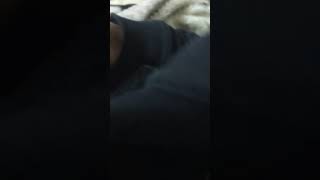 ねむるが 僕のお腹でねてるw