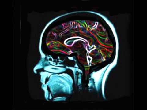 Waio Vs Pixel Vs Black & White - Deep And Drive