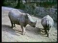 Sesame Street Me And You Rhinos