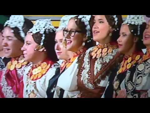 Svečanost otvaranja 50. Vinkovačkih jeseni [INTRO]