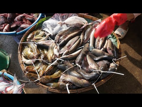 Prek Phnov Street Market Scene - Fresh Vegetable, Fruit, Fish, SeaFood, Beef, Pork & More Here