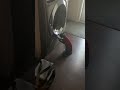 Suma Discovers The Washing Machine Shorts