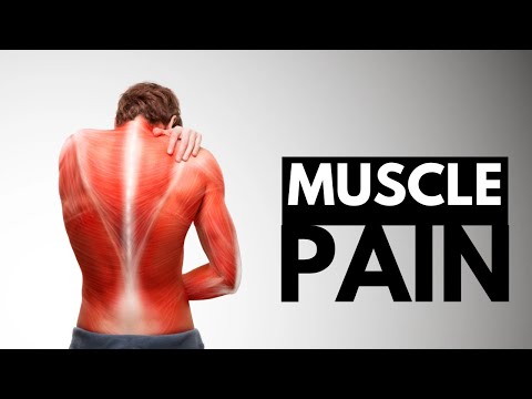 Muscle Pain: Everything You Need To Know