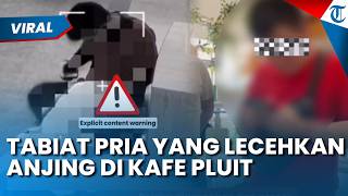 Tabiat Asli yang Lecehkan Anjing di Kafe Pluit Terungkap, Pernah Ditegur usai Maksa Cium Anjing