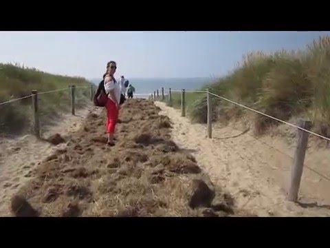 Texel - Strände & Landschaft