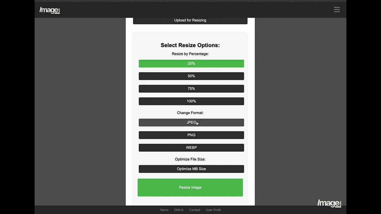 How to Resize Images with AI on Image Insight – Complete Resizing Guide