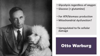 Colin Champ, MD -- The Ketogenic Diet and Cancer: Teaching an Old Dog New Tricks