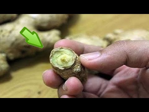 Mit diesem natürlichen Hausmittel entfernst du Haut- und Altersflecken.