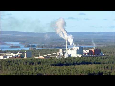 Metsätalouden vaikutus