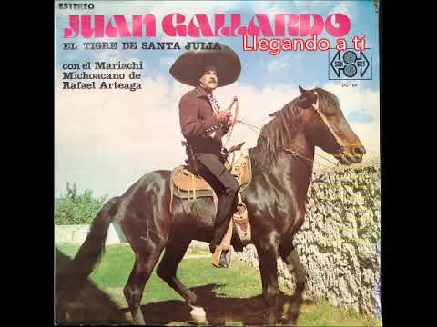 Llegando a ti- Juan Gallardo