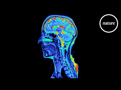 Neuroimmunology: Can you think yourself healthy?