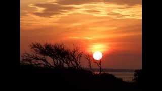 Willow the Wisp ~ Little Hideaway ~ Leon Russell