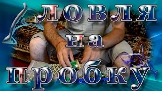 Чашка для ловли кефали своими руками