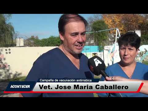 Marcos Juárez: Campaña de vacunación antirrábica en la ciudad
