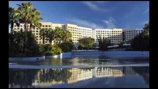 Grupo Vidanta LIV - Where Luxury Meets Nature