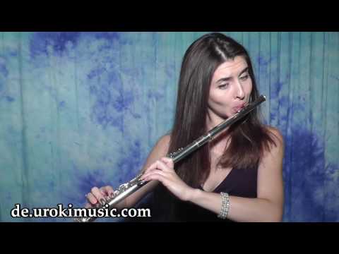 Flöte Lernen Sia - Elastic Heart Cover Flötenunterricht Noten Schule Lied Lehrer Klasse Unterricht