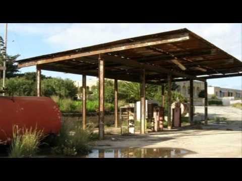 My Choice - Pembroke: Diplomaten Polka