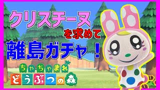 [あつ森]クリスティーナなのかクリスチーヌなのか