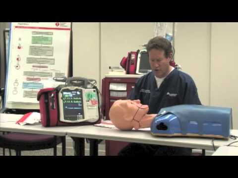 Bakerzoo "Acute Stroke Algorithm"