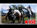AUF DER SUCHE WILD WEST RED DEAD RP RDR2