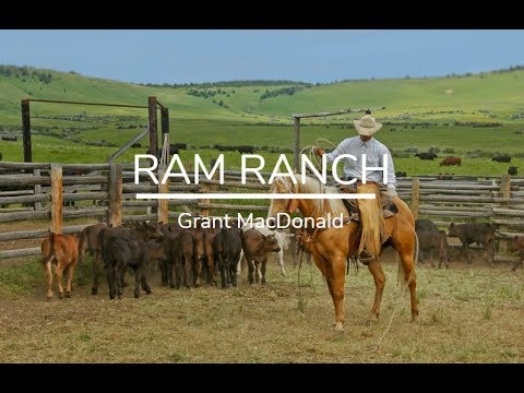 Poster ram ranch lyrics – grant macdonald lyrics
