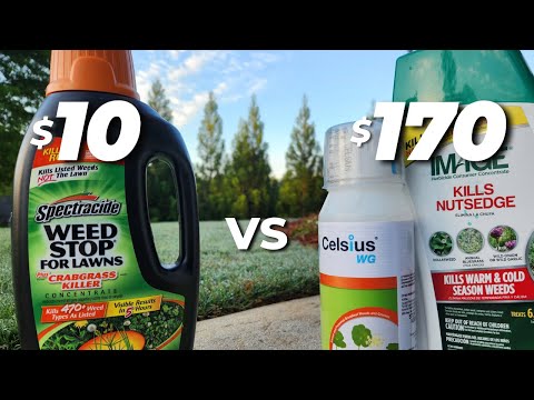 I Tested a $10 Weed Killer Against a $170 PRO Combo