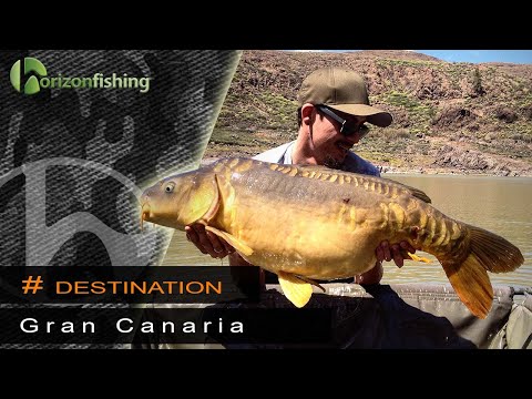 Karpefiskeri på Gran Canaria i Presa De Chira