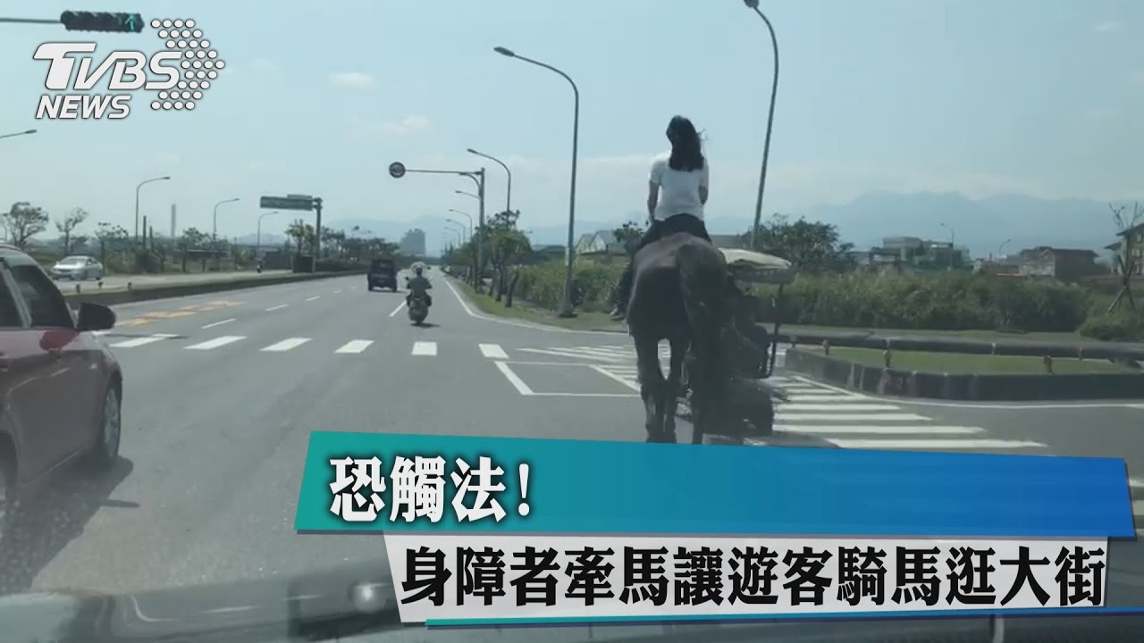 恐觸法!身障者牽馬 讓遊客騎馬逛大街