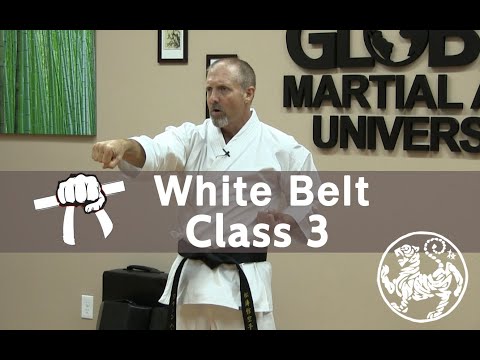Shotokan Karate Beginner Follow Along Training Class - 9th Kyu White Belt -  Class 3 thumbnail
