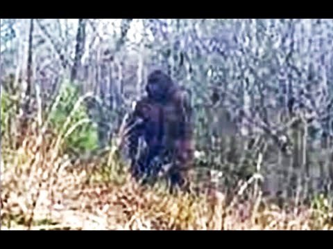 The HORRIFIC ATTACK at the L.B.L. ~ The First Responders account/WBR Golden Classics/ Jerry C