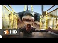 3 Headed Shark Attack (6/10) Movie CLIP - All Aboard for Dinner (2015) HD