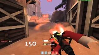 HK Pugs: The Perfect Dream